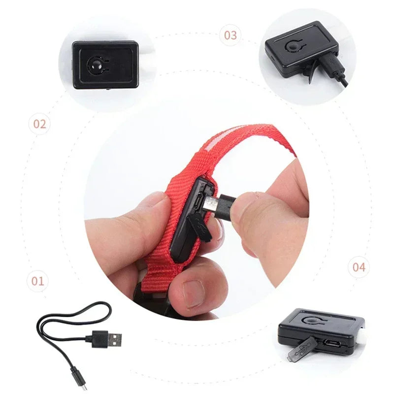 LED Safety Dog Collar – USB Rechargeable, Adjustable & Reflective Night Light