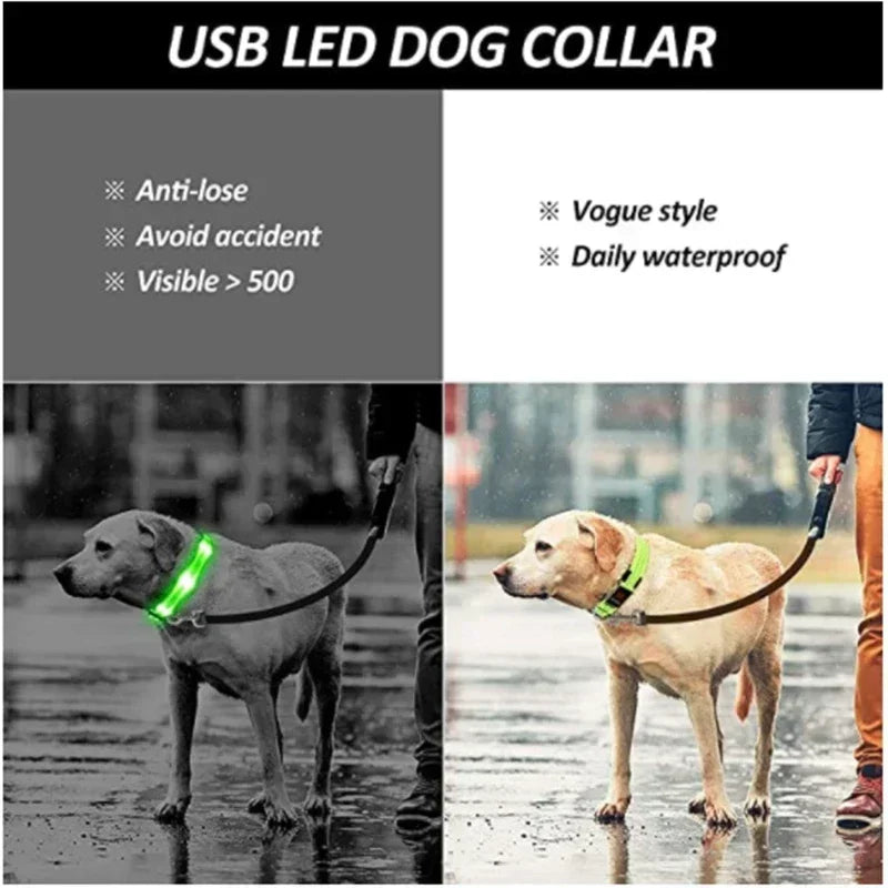 LED Safety Dog Collar – USB Rechargeable, Adjustable & Reflective Night Light