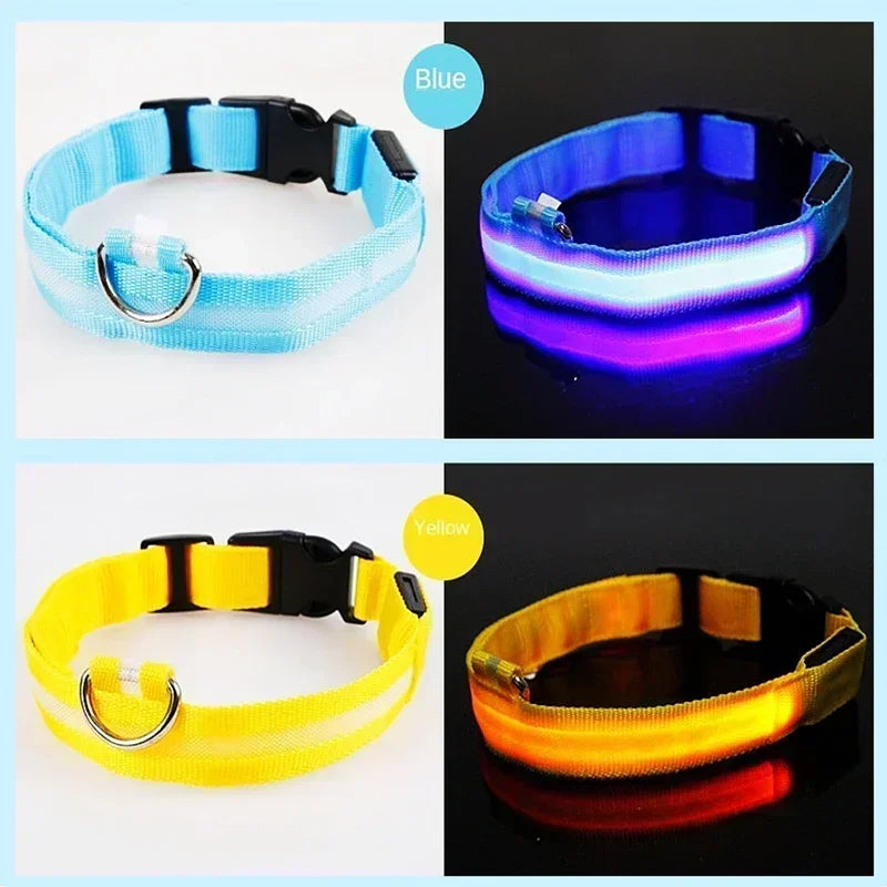 LED Safety Dog Collar – USB Rechargeable, Adjustable & Reflective Night Light