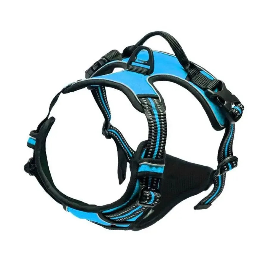 Premium Leather Dog Harness & Leash Set – Adjustable Comfort Fit