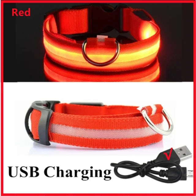 LED Safety Dog Collar – USB Rechargeable, Adjustable & Reflective Night Light