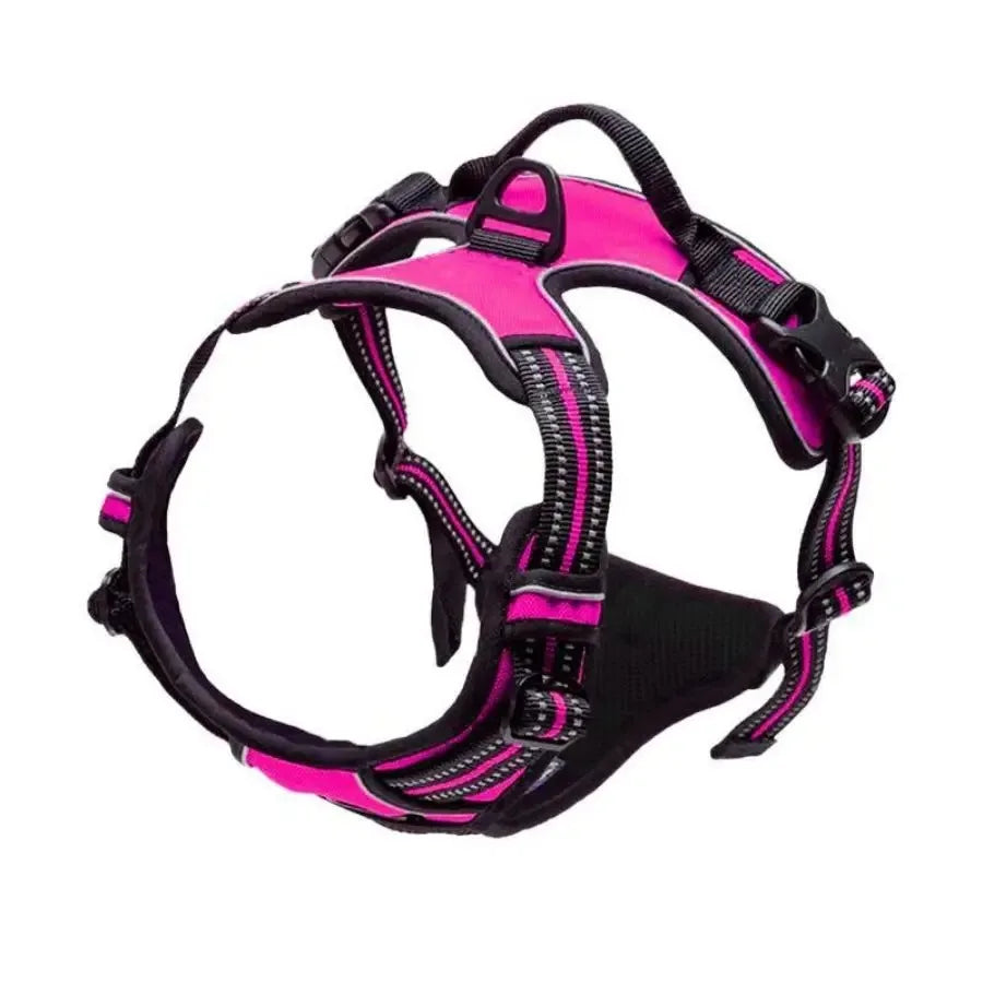 Premium Leather Dog Harness & Leash Set – Adjustable Comfort Fit