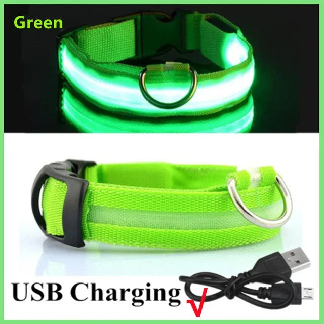 LED Safety Dog Collar – USB Rechargeable, Adjustable & Reflective Night Light