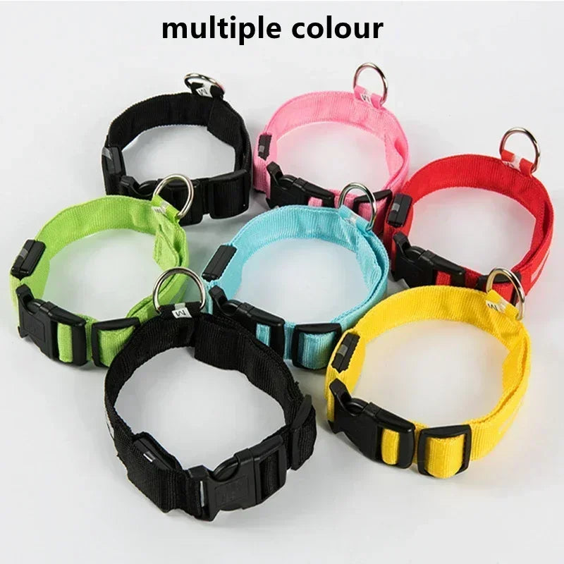 LED Safety Dog Collar – USB Rechargeable, Adjustable & Reflective Night Light
