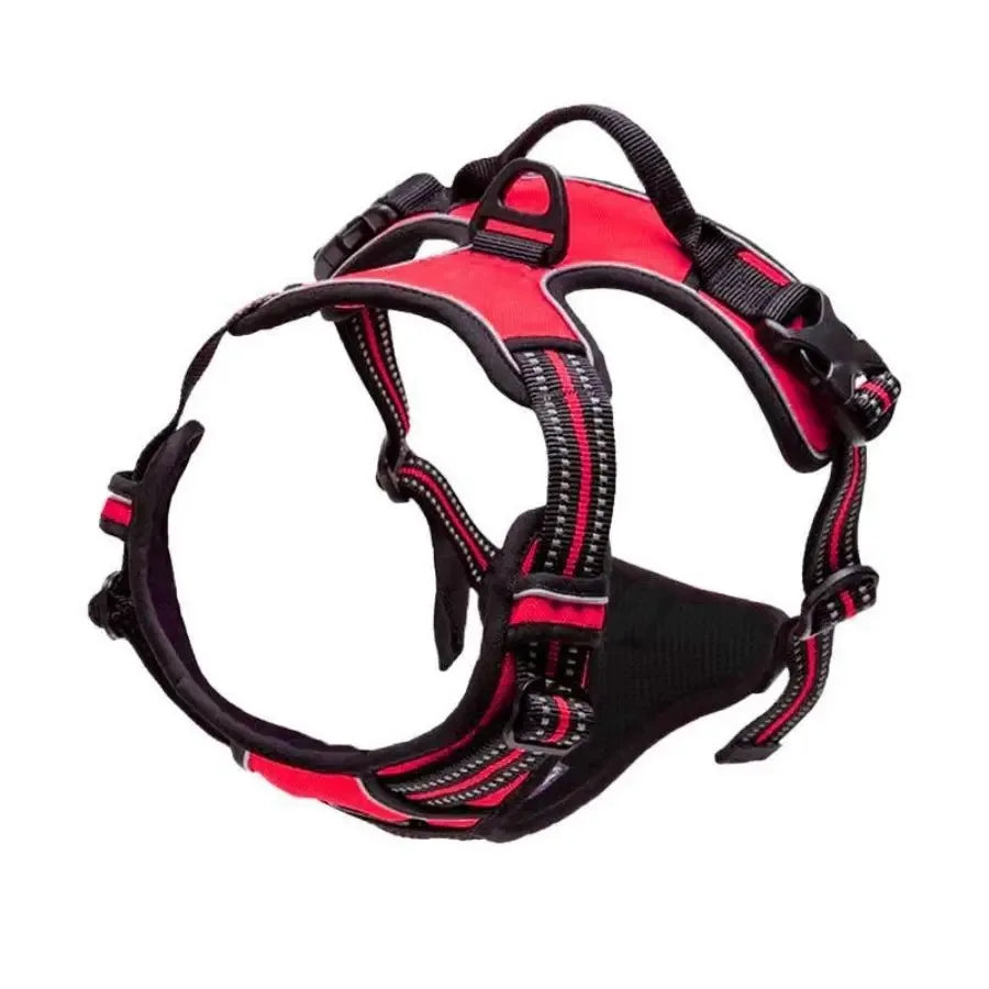 Premium Leather Dog Harness & Leash Set – Adjustable Comfort Fit