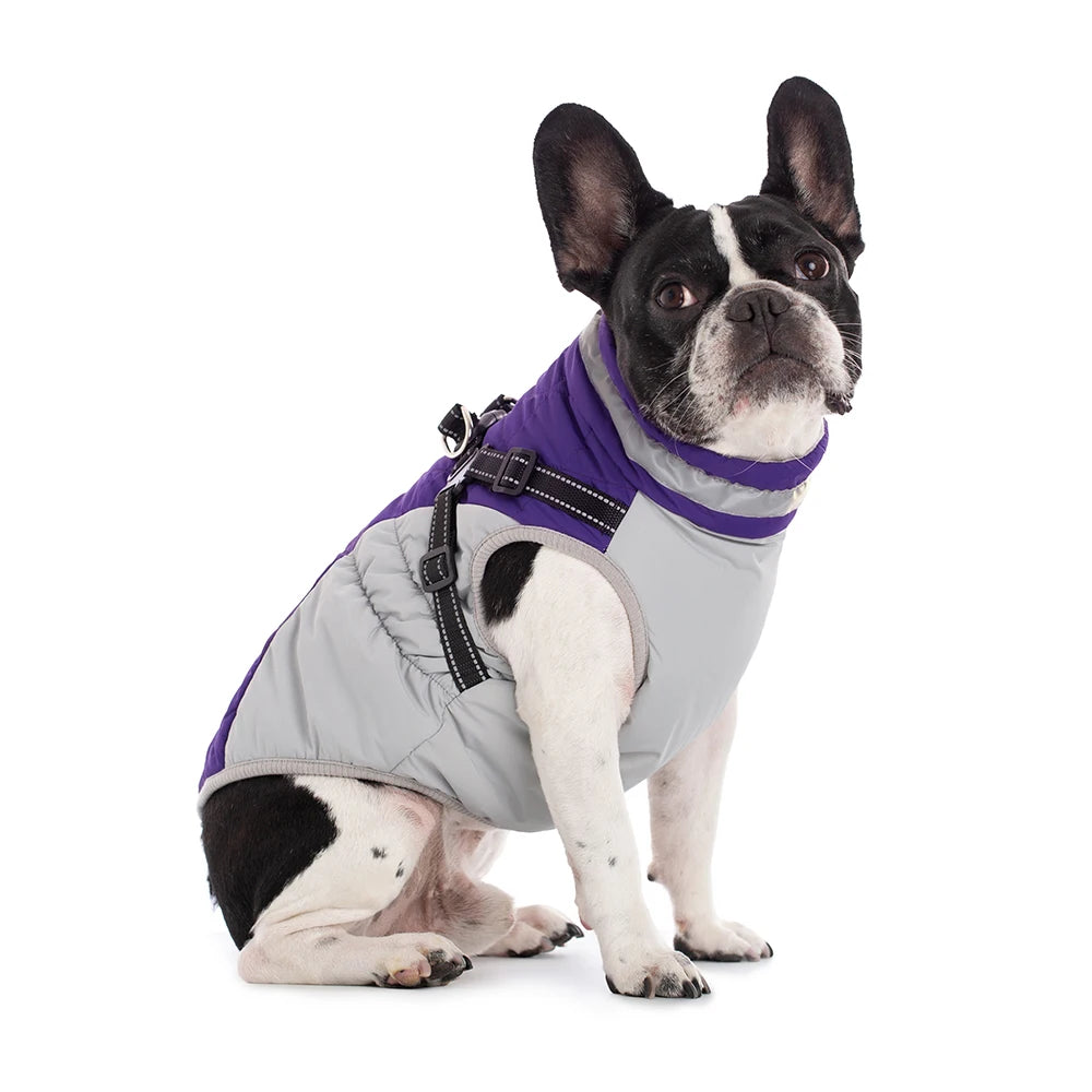 All-Weather Dog Jacket with Built-In Harness β Waterproof & Windproof Winter Coat
