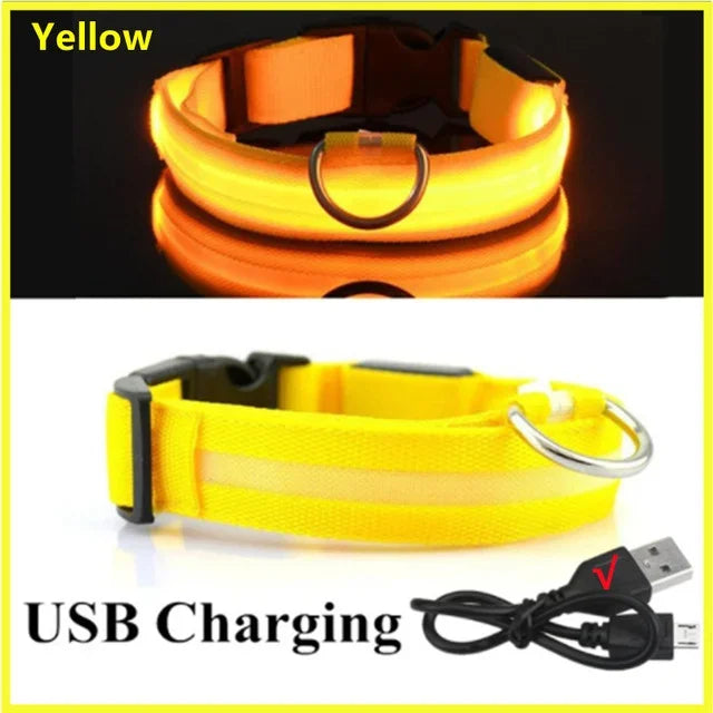 LED Safety Dog Collar – USB Rechargeable, Adjustable & Reflective Night Light