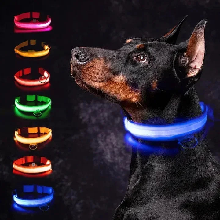 LED Safety Dog Collar – USB Rechargeable, Adjustable & Reflective Night Light