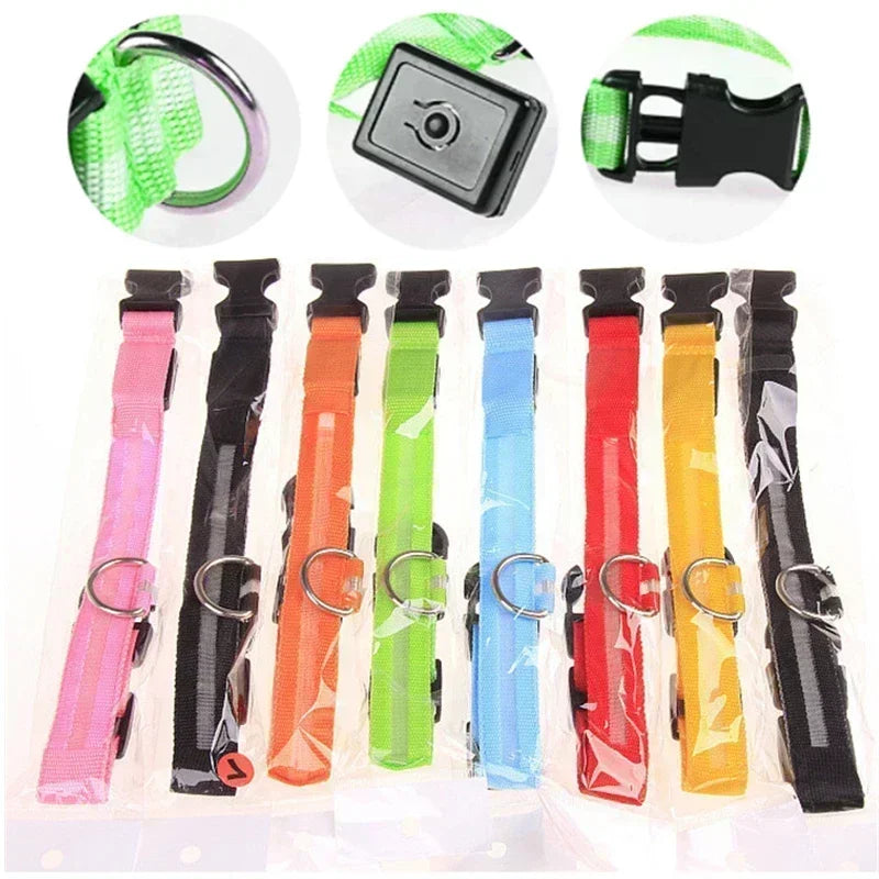 LED Safety Dog Collar – USB Rechargeable, Adjustable & Reflective Night Light