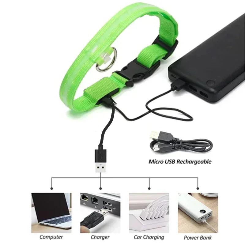 LED Safety Dog Collar – USB Rechargeable, Adjustable & Reflective Night Light