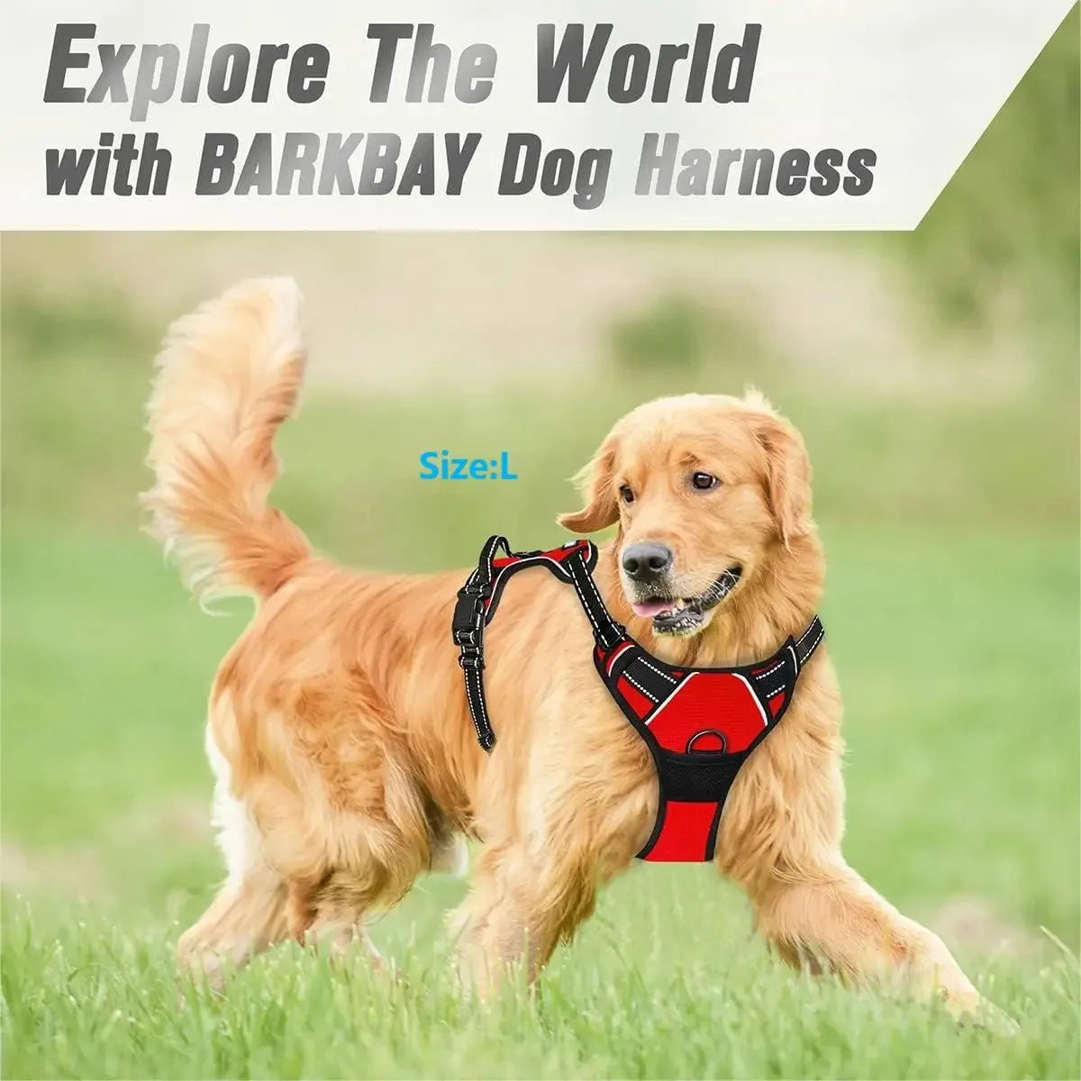 Premium Leather Dog Harness & Leash Set – Adjustable Comfort Fit