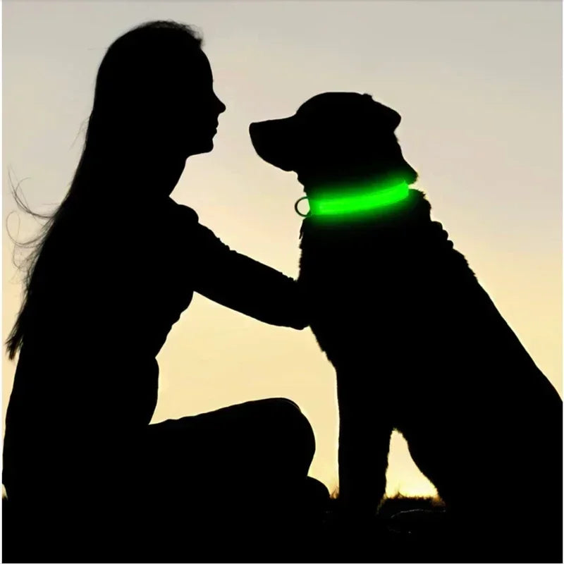 LED Safety Dog Collar – USB Rechargeable, Adjustable & Reflective Night Light