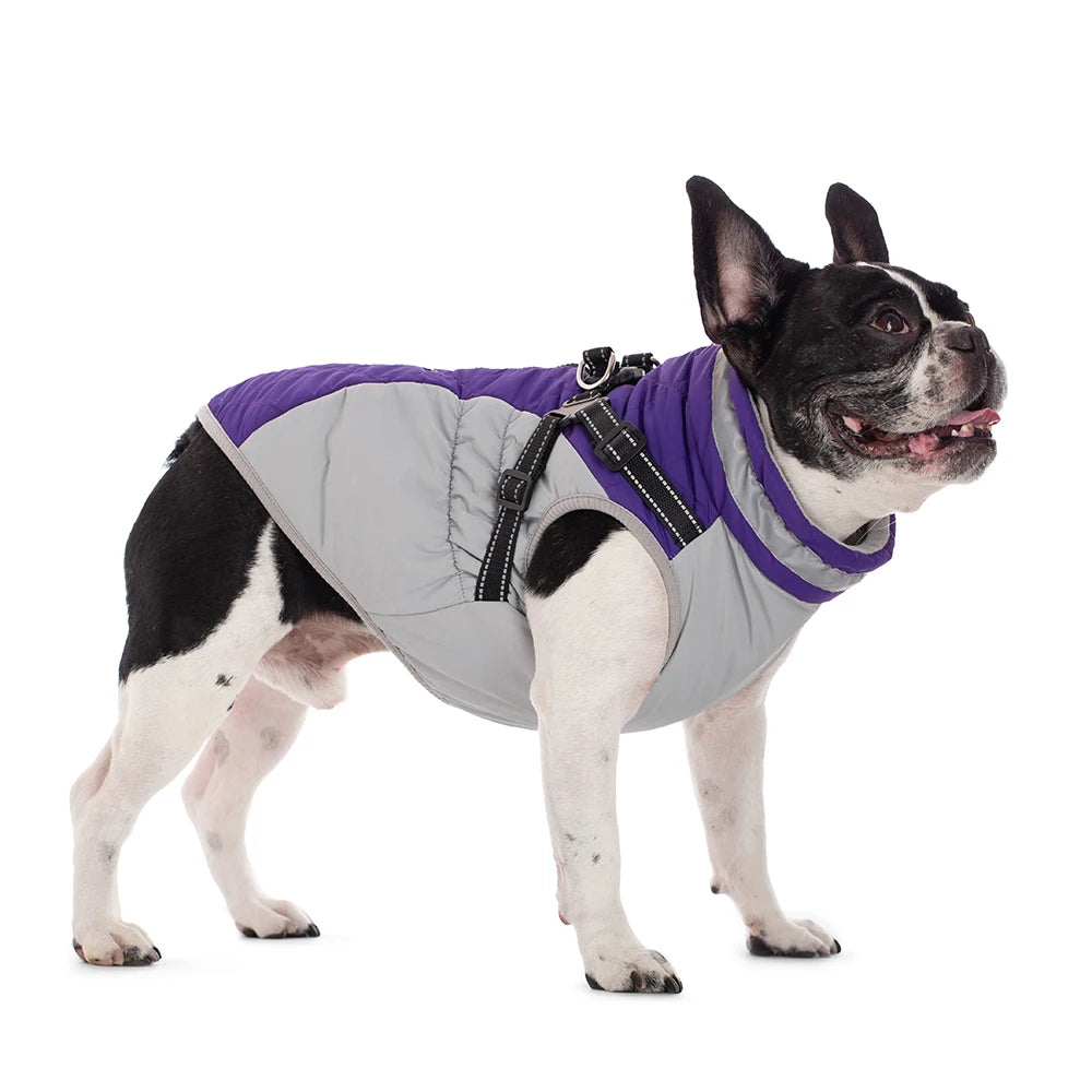 All-Weather Dog Jacket with Built-In Harness β Waterproof & Windproof Winter Coat