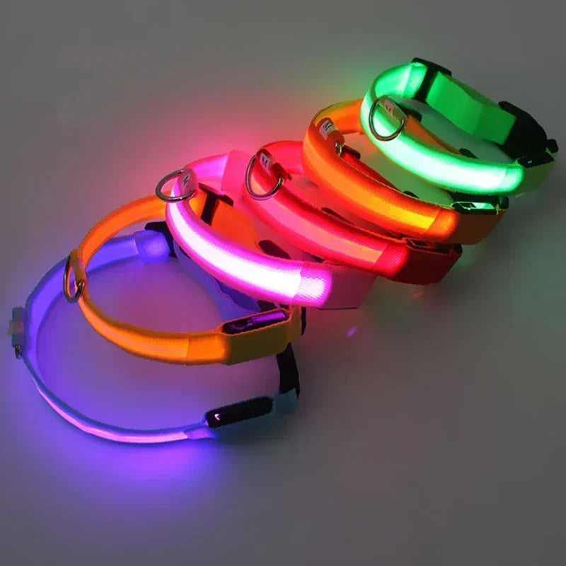 LED Safety Dog Collar – USB Rechargeable, Adjustable & Reflective Night Light