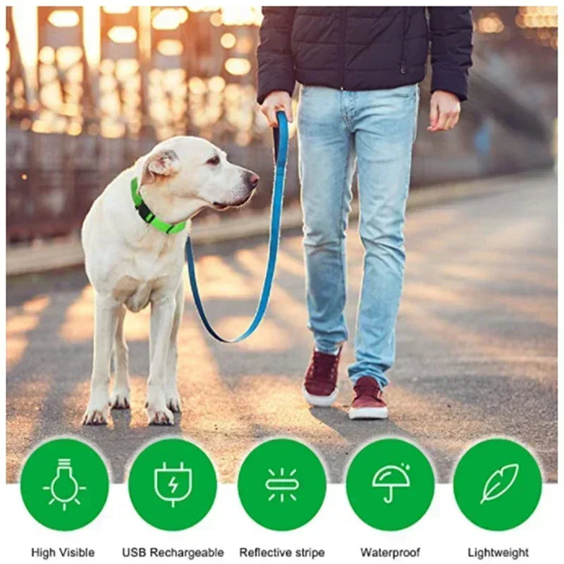 LED Safety Dog Collar – USB Rechargeable, Adjustable & Reflective Night Light
