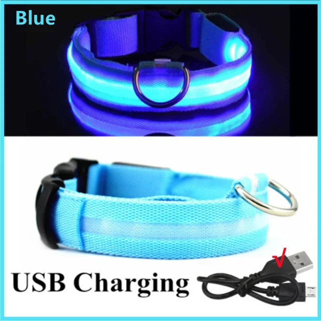 LED Safety Dog Collar – USB Rechargeable, Adjustable & Reflective Night Light