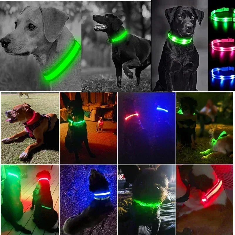 LED Safety Dog Collar – USB Rechargeable, Adjustable & Reflective Night Light