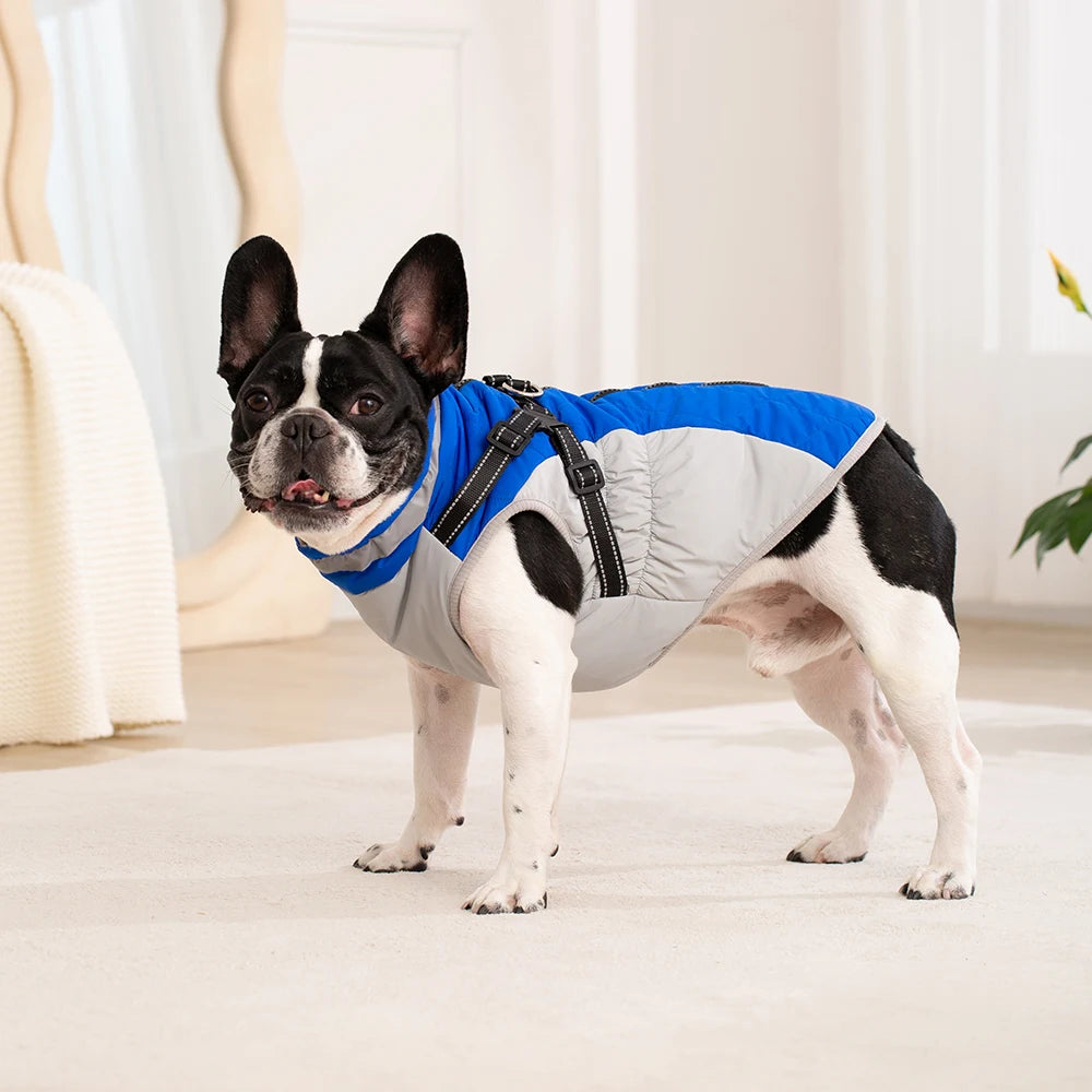 All-Weather Dog Jacket with Built-In Harness β Waterproof & Windproof Winter Coat
