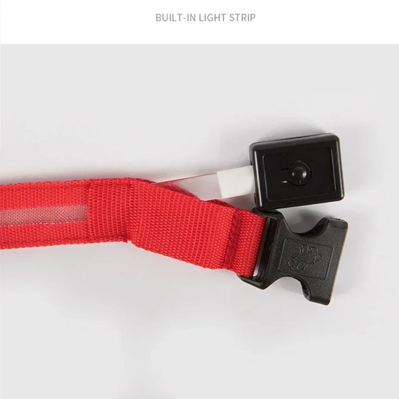 LED Safety Dog Collar – USB Rechargeable, Adjustable & Reflective Night Light