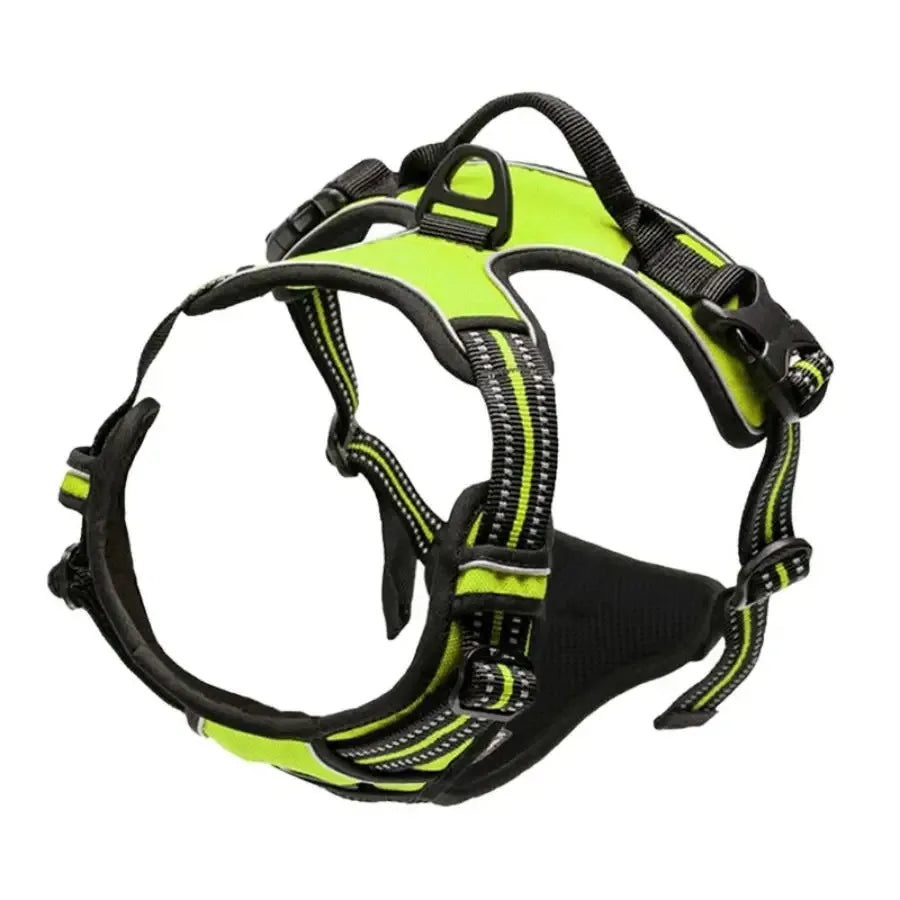 Premium Leather Dog Harness & Leash Set – Adjustable Comfort Fit