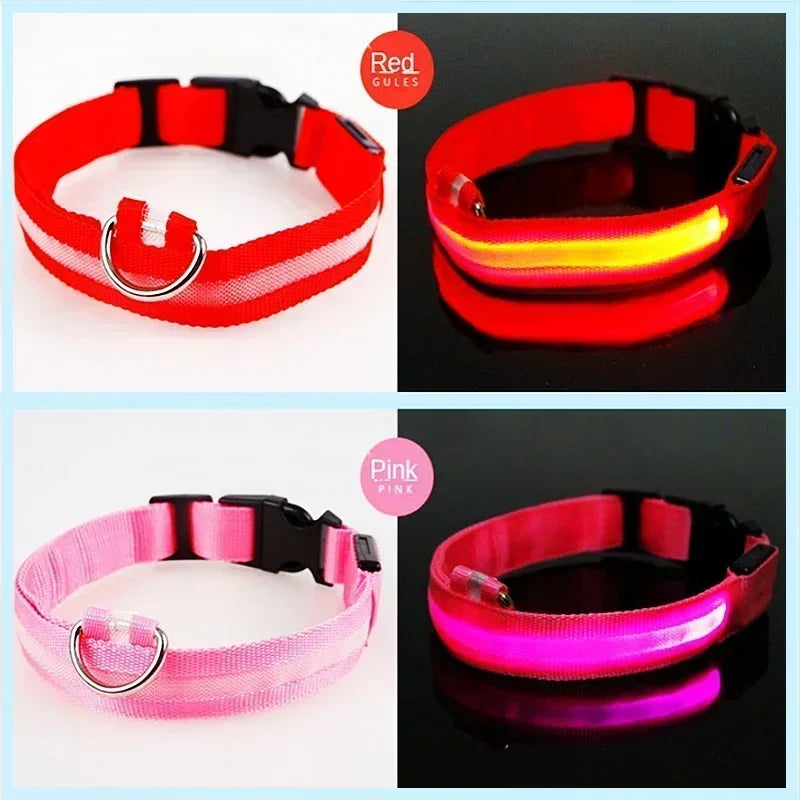 LED Safety Dog Collar – USB Rechargeable, Adjustable & Reflective Night Light