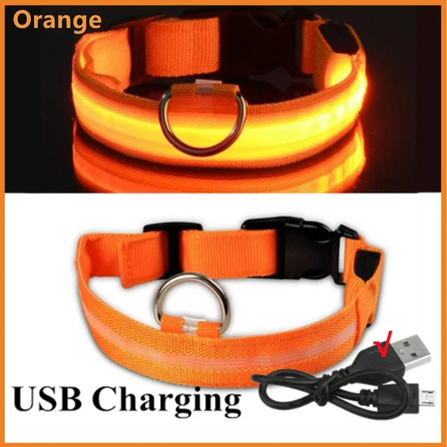 LED Safety Dog Collar – USB Rechargeable, Adjustable & Reflective Night Light