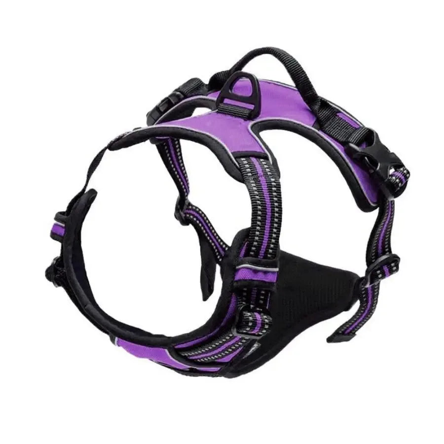 Premium Leather Dog Harness & Leash Set – Adjustable Comfort Fit