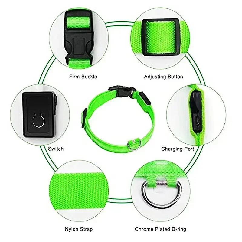 LED Safety Dog Collar – USB Rechargeable, Adjustable & Reflective Night Light