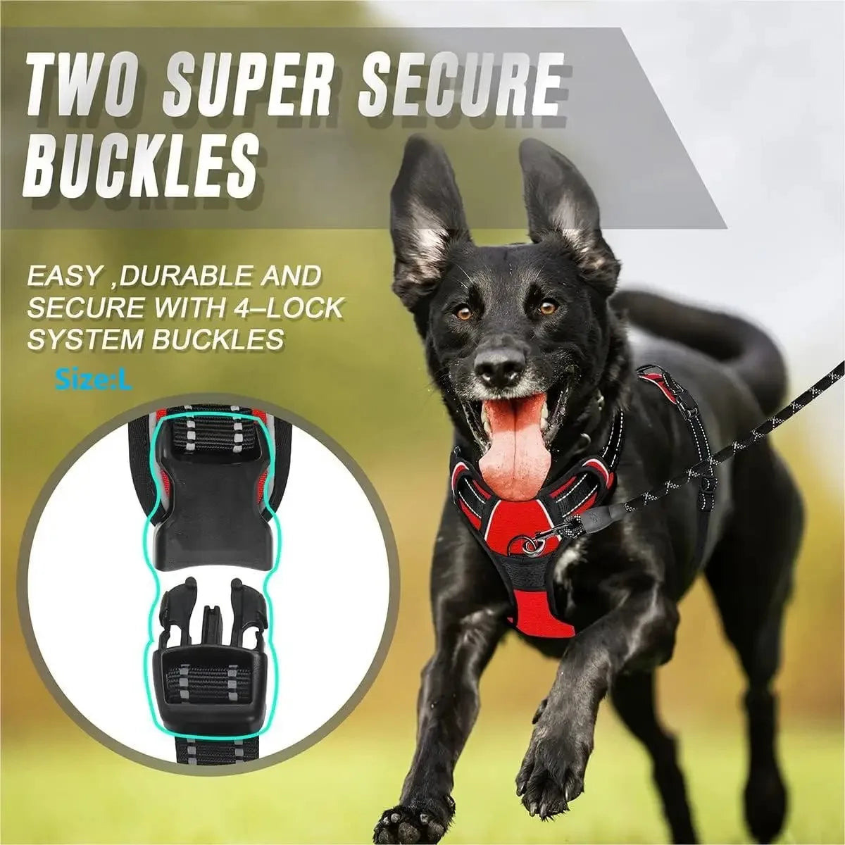 Premium Leather Dog Harness & Leash Set – Adjustable Comfort Fit