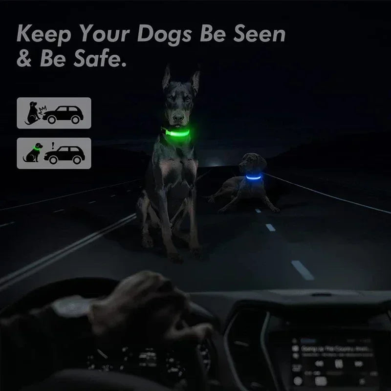 LED Safety Dog Collar – USB Rechargeable, Adjustable & Reflective Night Light