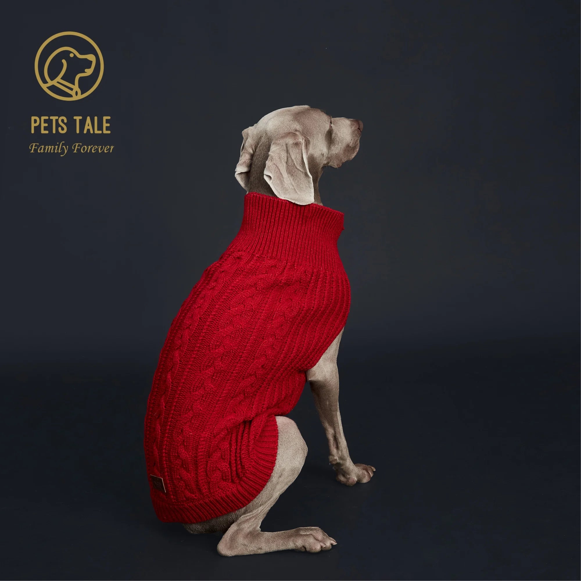 Cozy Knitted Pet Sweater for Winter - Keep Your Dog Warm and Stylish