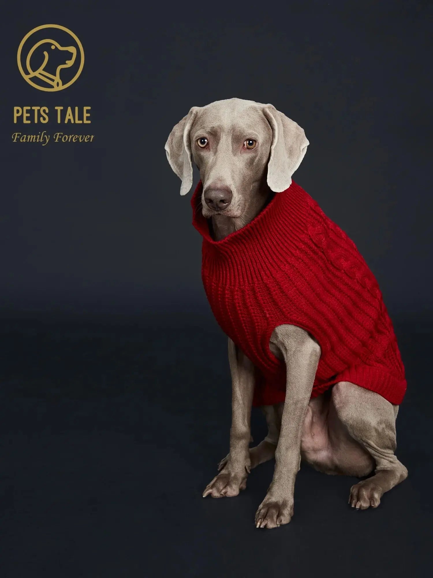 Cozy Knitted Pet Sweater for Winter - Keep Your Dog Warm and Stylish