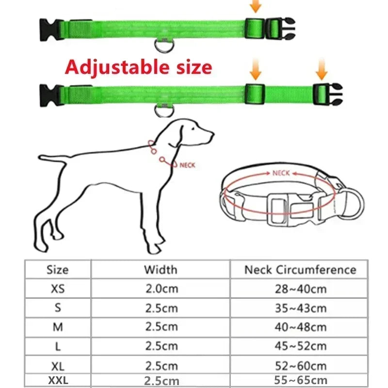 LED Safety Dog Collar – USB Rechargeable, Adjustable & Reflective Night Light