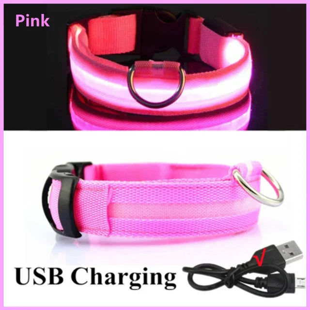 LED Safety Dog Collar – USB Rechargeable, Adjustable & Reflective Night Light