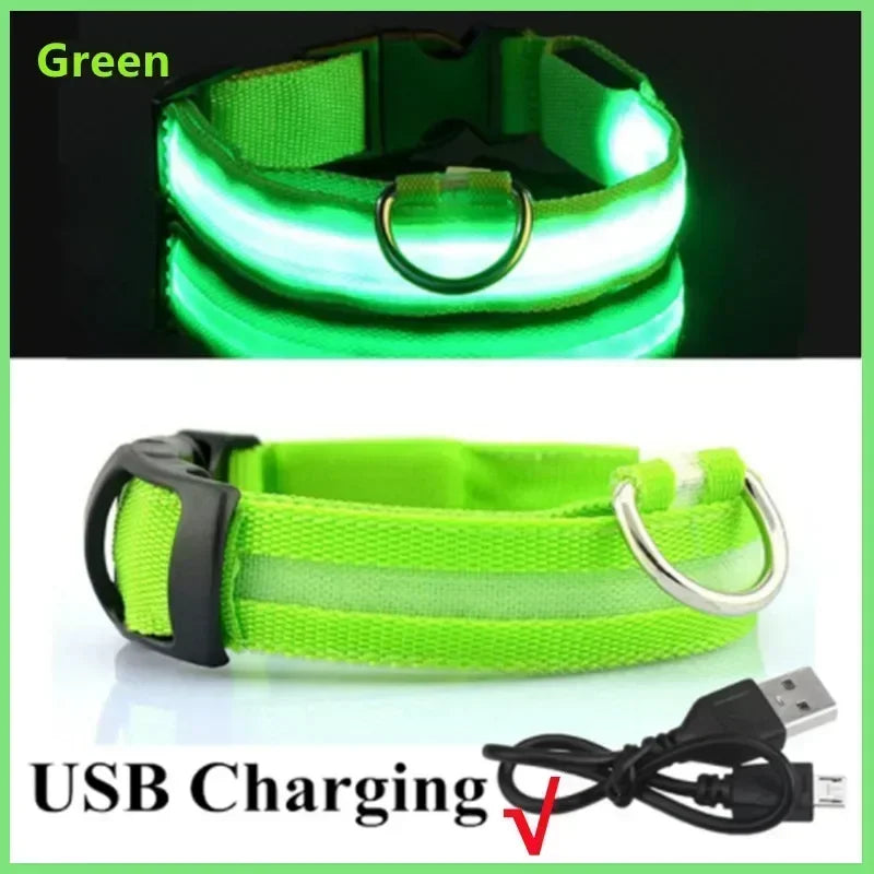 LED Safety Dog Collar – USB Rechargeable, Adjustable & Reflective Night Light
