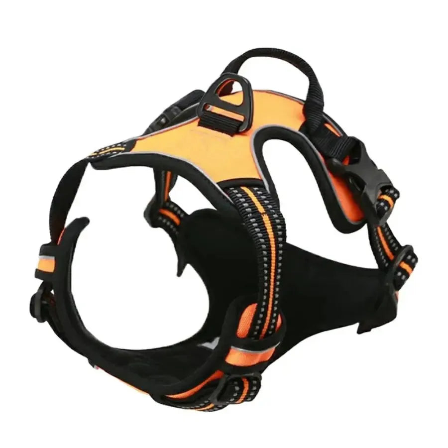 Premium Leather Dog Harness & Leash Set – Adjustable Comfort Fit