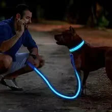 LED Safety Dog Collar – USB Rechargeable, Adjustable & Reflective Night Light