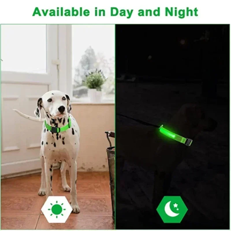 LED Safety Dog Collar – USB Rechargeable, Adjustable & Reflective Night Light