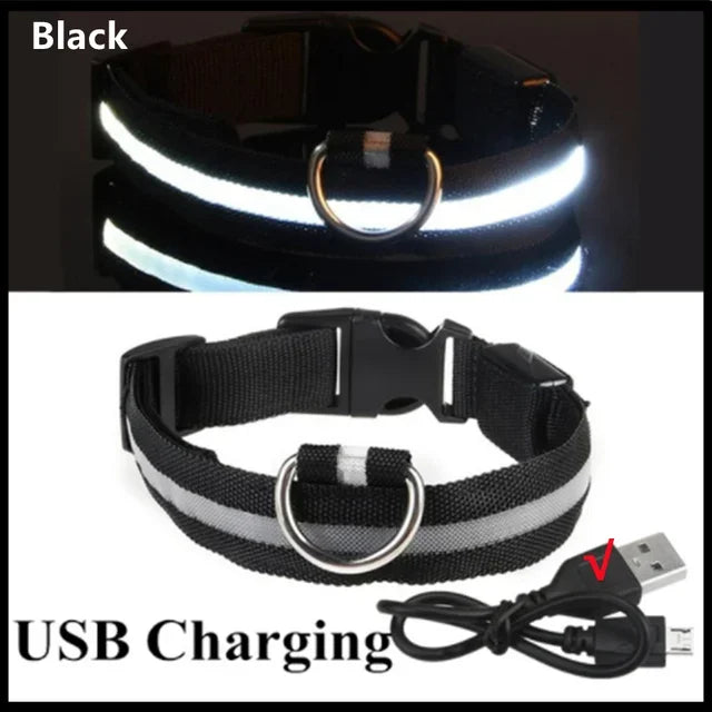 LED Safety Dog Collar – USB Rechargeable, Adjustable & Reflective Night Light
