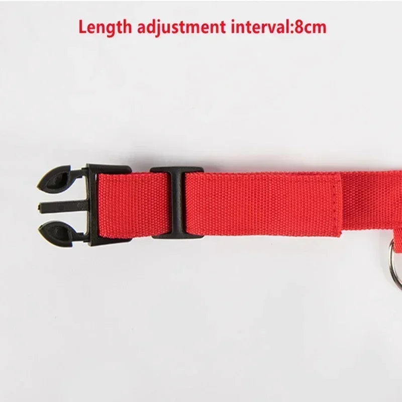 LED Safety Dog Collar – USB Rechargeable, Adjustable & Reflective Night Light