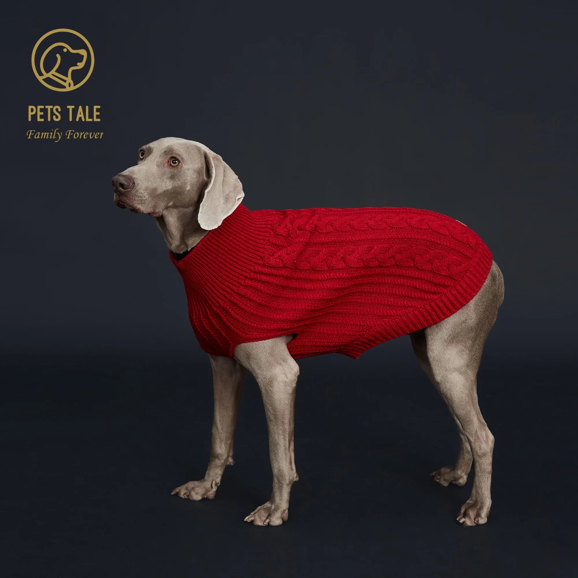 Cozy Knitted Pet Sweater for Winter - Keep Your Dog Warm and Stylish