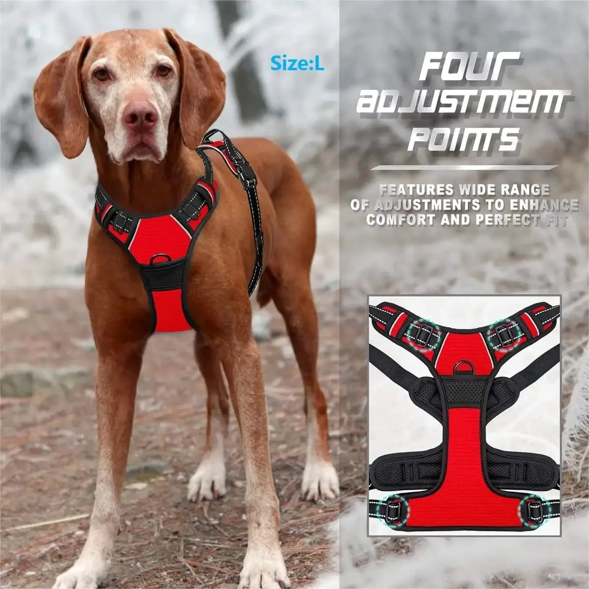 Premium Leather Dog Harness & Leash Set – Adjustable Comfort Fit