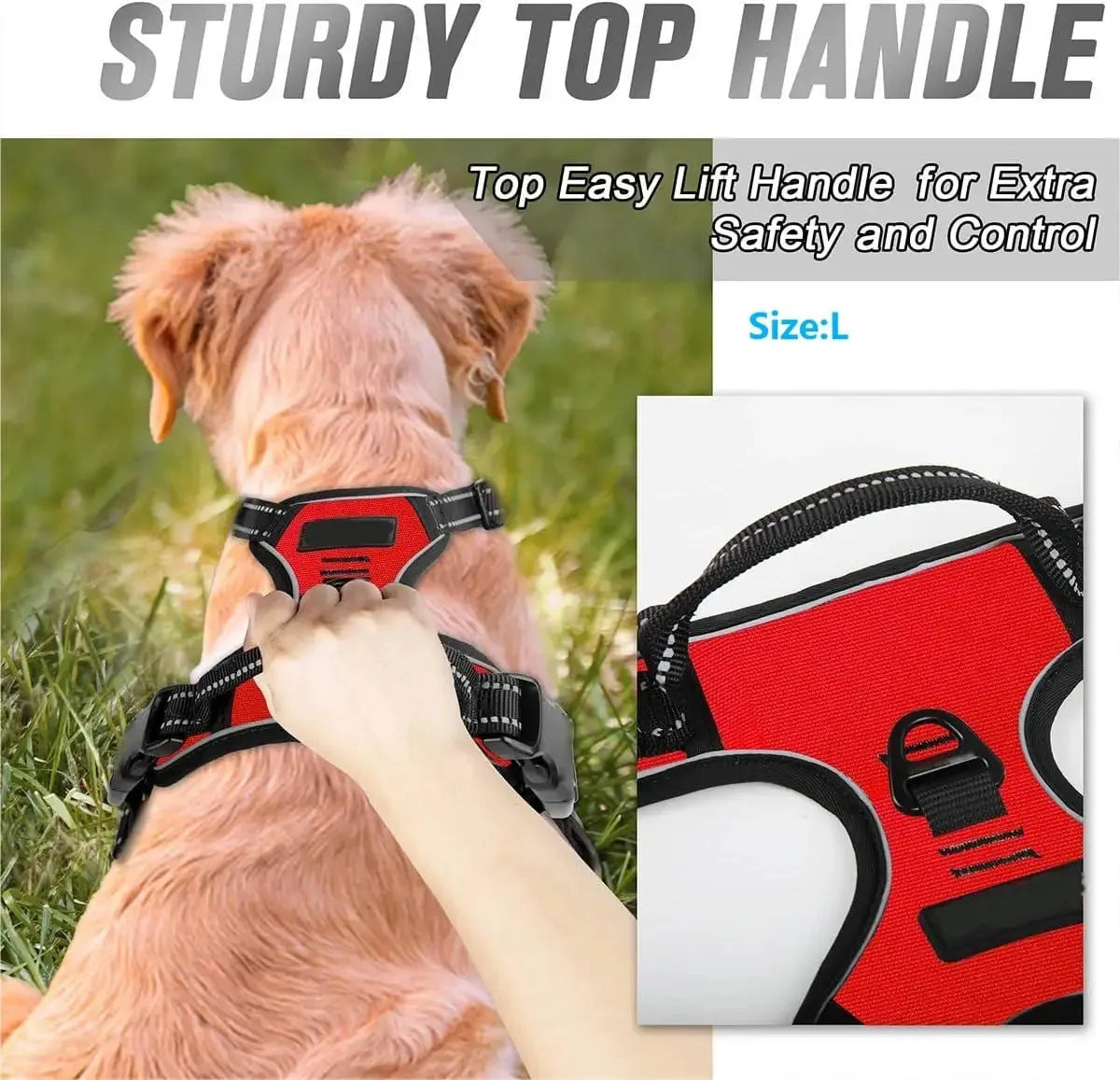Premium Leather Dog Harness & Leash Set – Adjustable Comfort Fit