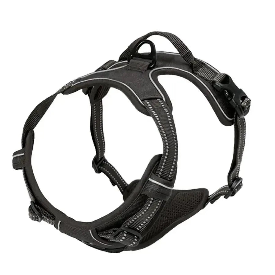 Premium Leather Dog Harness & Leash Set – Adjustable Comfort Fit