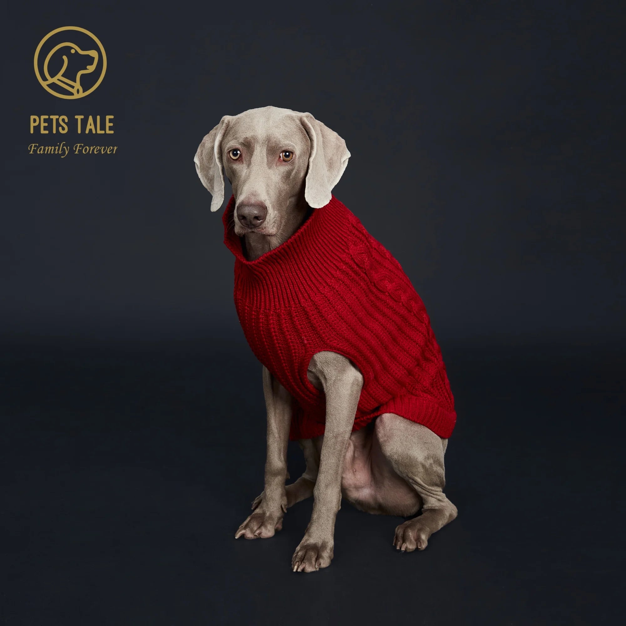 Cozy Knitted Pet Sweater for Winter - Keep Your Dog Warm and Stylish