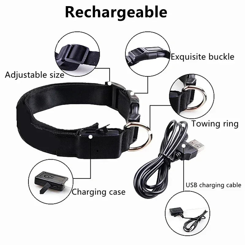 LED Safety Dog Collar – USB Rechargeable, Adjustable & Reflective Night Light