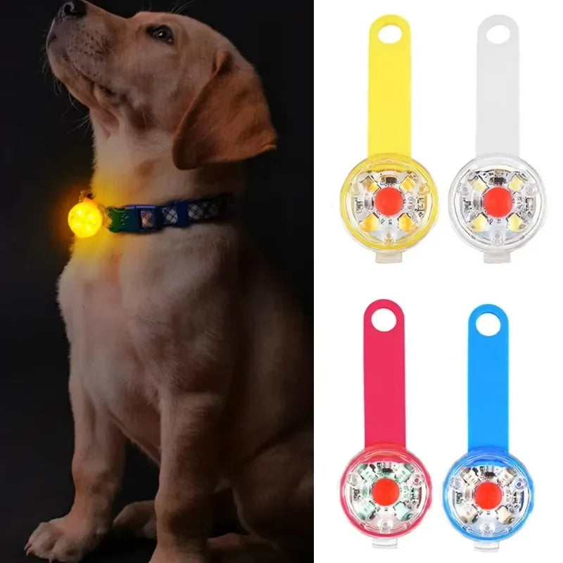 LED Safety Collar – USB Rechargeable Waterproof Light for Pets