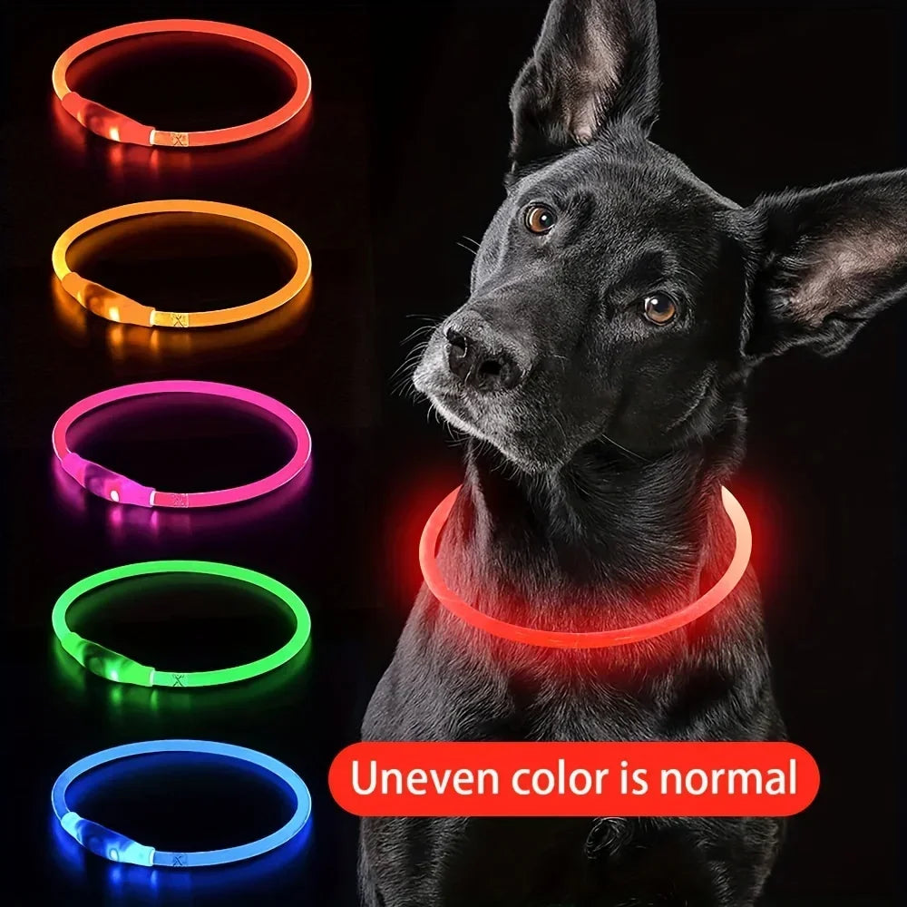 LED Light Dog Collar – USB Rechargeable, Waterproof & Anti-Lost Safety Collar for Night Walks