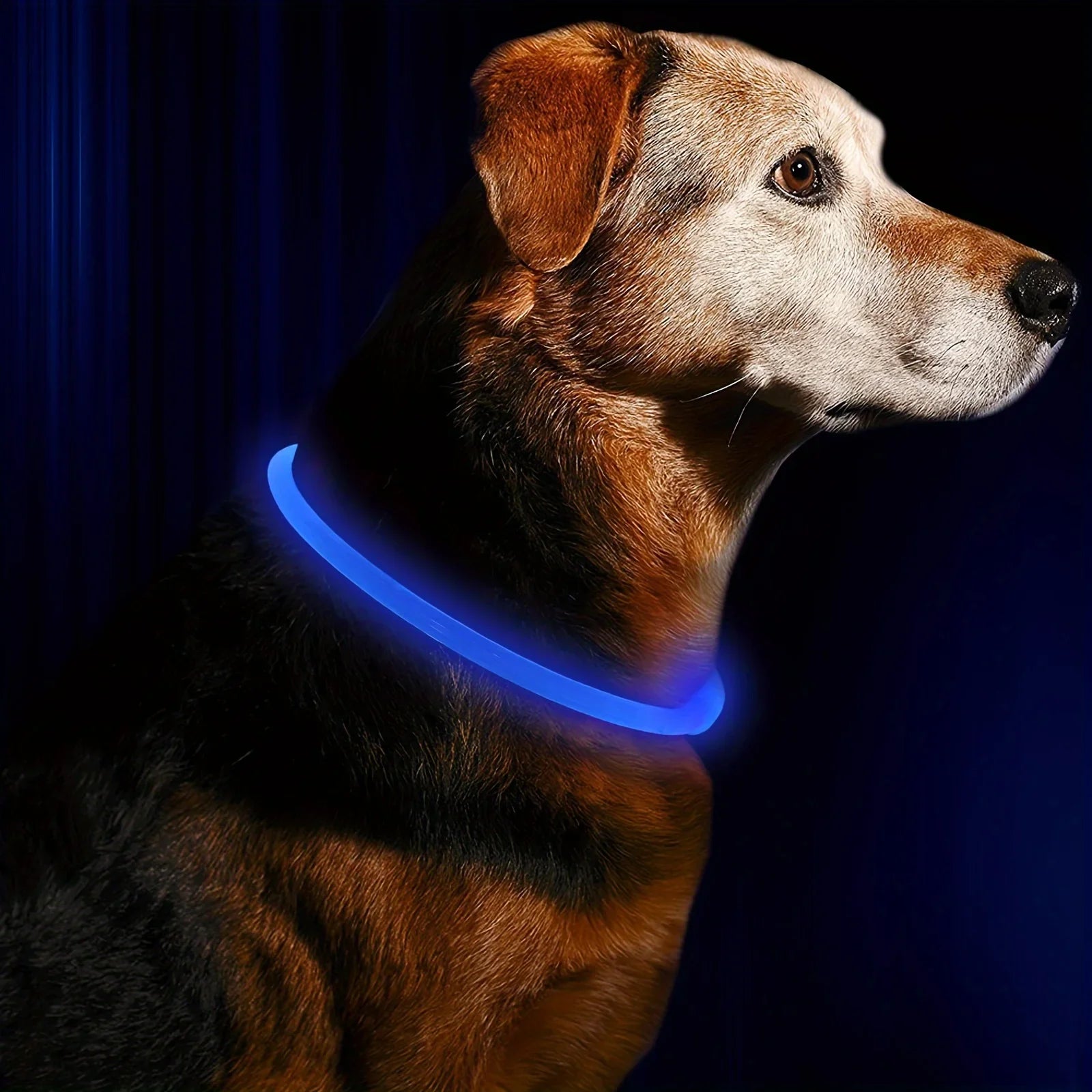 LED Light Dog Collar – USB Rechargeable, Waterproof & Anti-Lost Safety Collar for Night Walks