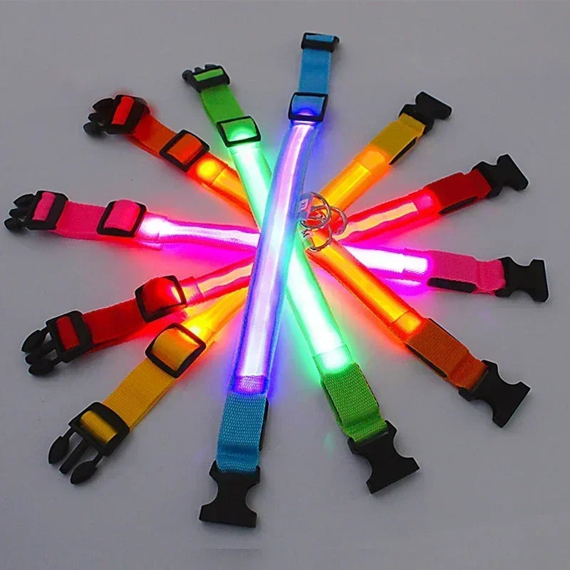 LED Safety Dog Collar – USB Rechargeable, Adjustable & Reflective Night Light